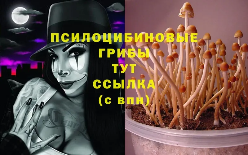 Галлюциногенные грибы Magic Shrooms  Бакал 